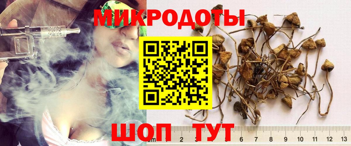 Галлюциногенные грибы Magic Shrooms Дедовск