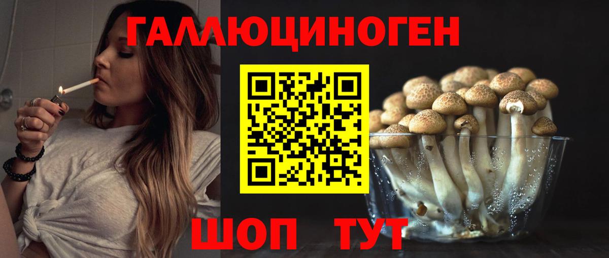 где найти   Вход с VPN  Дедовск  Галлюциногенные грибы мухоморы 